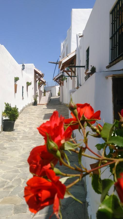 Casas El Molino Villa Vejer de la Frontera Exterior foto