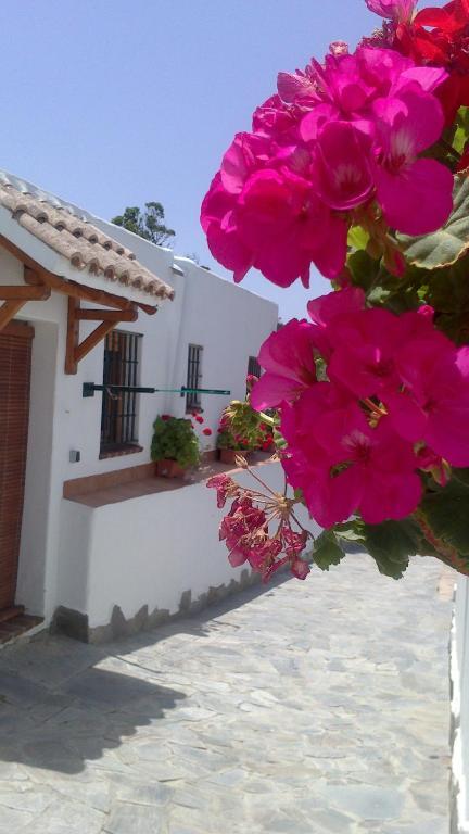 Casas El Molino Villa Vejer de la Frontera Habitación foto